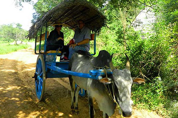 Maradankadawala Village